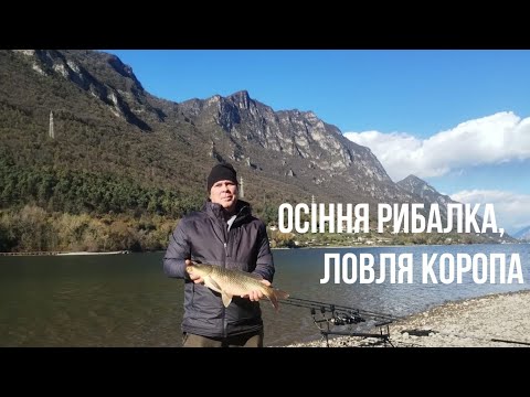 Видео: Осіння рибалка , ловля короп@