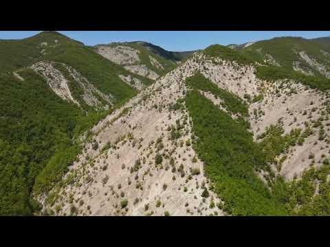 Видео: Мурга