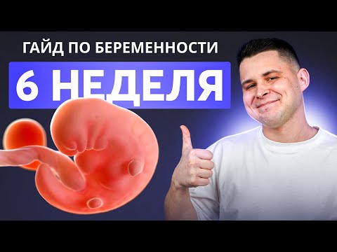 Видео: 6 НЕДЕЛЯ БЕРЕМЕННОСТИ | Беременность по неделям с доктором Ченчак