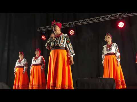 Видео: Лісапетний Батальйон Львів 2