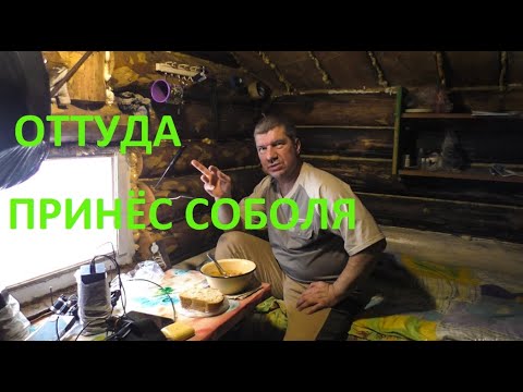 Видео: Проверка путиков, соболя. Замерзший рябчик. Выезд домой через старую избушку.