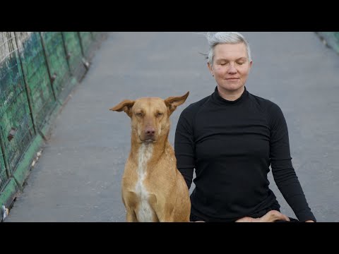 Видео: Прогулка "Животные Ришикеша" и разговор о йоге, Индии, добре.