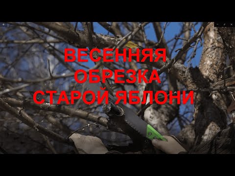 Видео: Весенняя обрезка старой яблони
