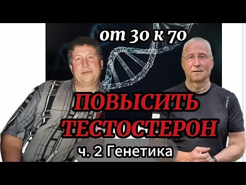 Видео: от 30 к 70 Повысить тестостерон ч.2 Генетика