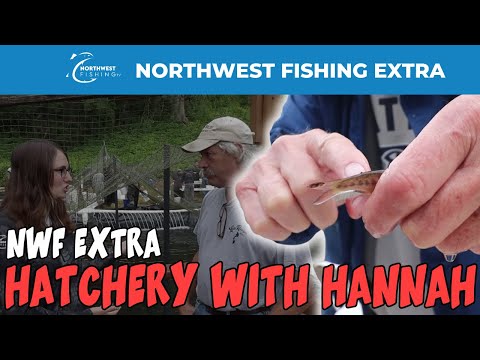 Видео: Инкубатор Eagle Creek с Ханной | Northwest Fishing Extra
