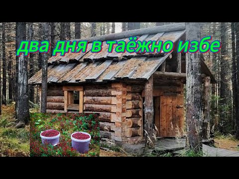 Видео: ДВА ДНЯ В ТАЁЖНОЙ ИЗБЕ, СБОР ЯГОД, РЫБАЛКА. РЕМОНТ КРОВЛИ.
