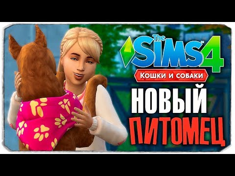 Видео: НОВЫЙ ПИТОМЕЦ СОФИ! - The Sims 4 "Кошки и Собаки" ▮
