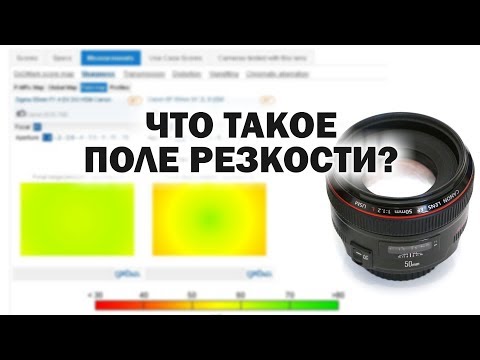 Видео: Что такое поле резкости? Интервью с Дмитрием Янушевским