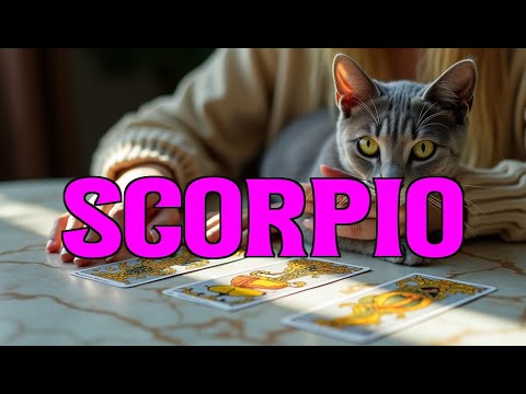 Видео: СКОРПИОНЫ ДЕЛАЮТ НЕГАТИВНЫЙ ТРУД В ИХ ДОМЕ🏡 ОНИ СПЕШАТ СОБИРАЮТСЯ📦, ЧТОБЫ ОСТАТЬСЯ💍