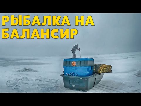 Видео: НЕВЕЗУЧАЯ РЫБАЛКА, НО ВСЕ ТАКИ ПОЙМАЛ! Рыбалка на балансир. Ловля окуня на балансир.
