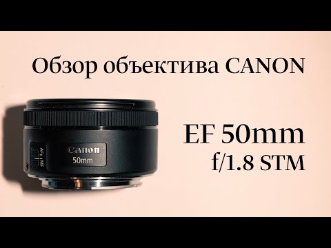 Видео: Обзор объектива Canon EF 50mm f/1.8 STM