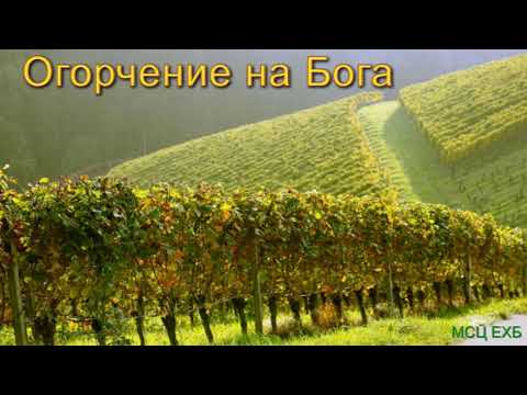Видео: "Огорчение на Бога". В. М. Хорев. Проповедь. МСЦ ЕХБ.