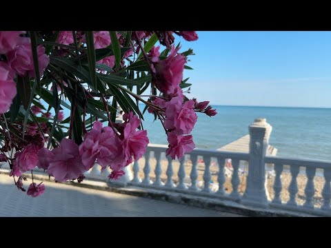 Видео: Пансионат "Страна души" Абхазия. Важно! Это не реальный отзыв, а пробное видео. Читаем комментарии!