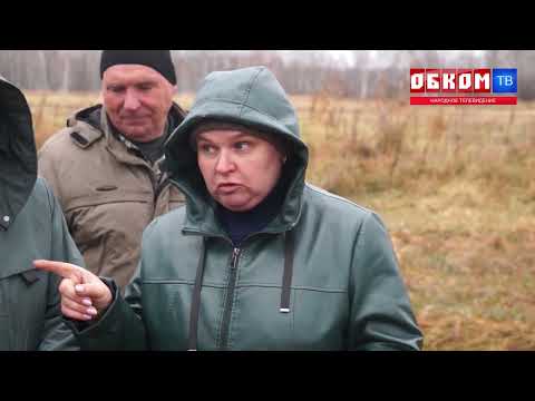 Видео: Хроника дня. Давят и запугивают. 23.10.2024