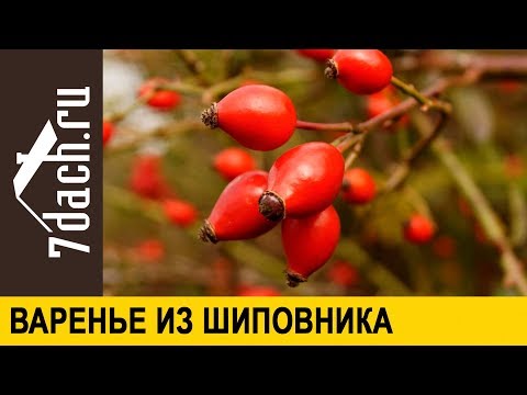 Видео: 👩‍🌾 Варенье из шиповника - вкусная и полезная заготовка на зиму- 7 дач