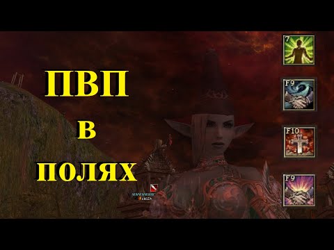 Видео: Asterios x5 ПВП в поле часть 72