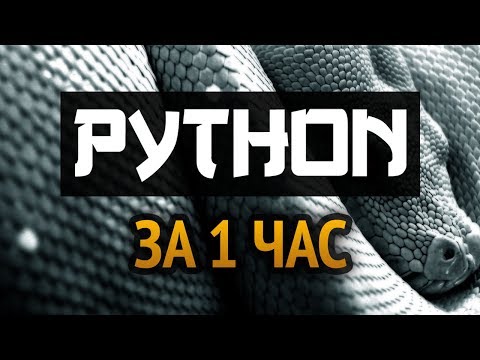 Видео: Учим Python за 1 час! #От Профессионала