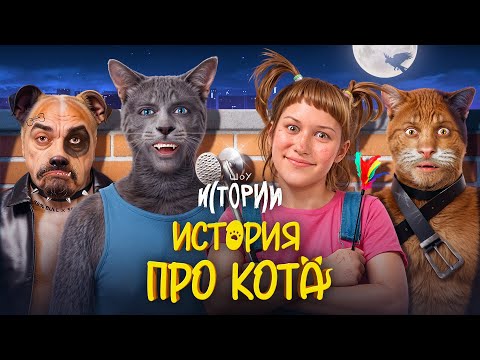 Видео: ШОУ ИСТОРИИ | История про кота