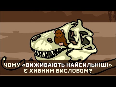 Видео: Чому вислів «виживають найсильніші» хибний? [Stated Clearly]