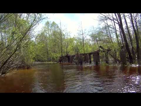 Видео: В лесу и полях на велике, без слов
