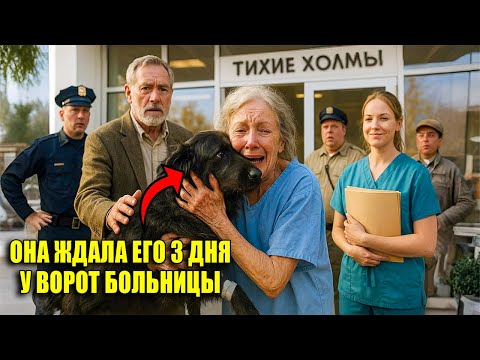 Видео: ПЁС 3 ДНЯ СТОЯЛ У БОЛЬНИЦЫ… И ВСЁ ЭТО ВРЕМЯ ЖДАЛ ЕЁ