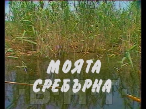 Видео: "МОЯТА СРЕБЪРНА" - РАЗКАЗ НА БИОЛОГА РОСЕН ИЛИЕВ ЗА СЪЗДАВАНЕТО НА РЕЗЕРВАТА (1988)