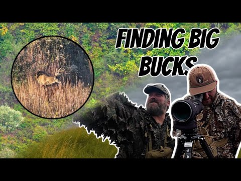 Видео: В поисках больших денег! (Найдите и выследите крупного оленя из Западной Вирджинии)