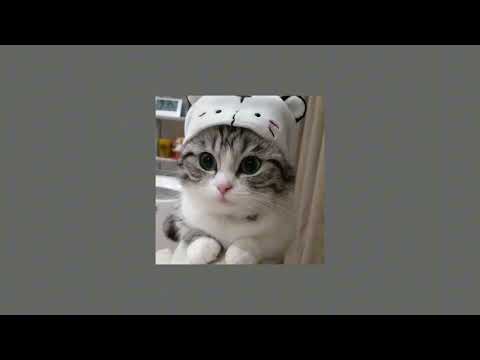 Видео: Нервы-Глупая Speed up