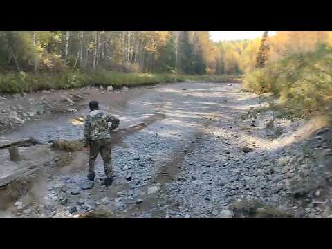 Видео: Была река, остались камни....время собирать их.