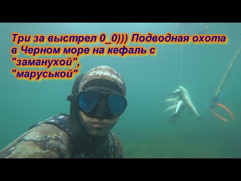 Видео: Дуплет неее, берем планку выше)))) Подводная охота в Черном море на кефаль с "Заманухой" 2020