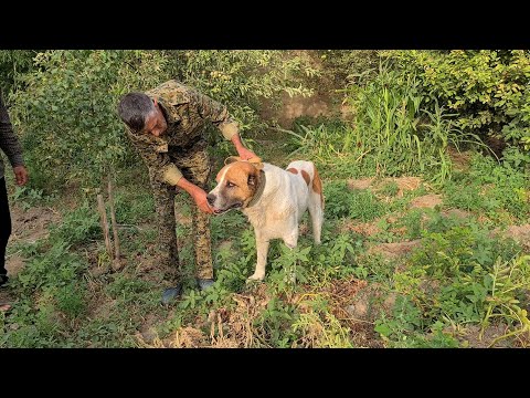 Видео: старенький Гаплан в молодые годы не пал Духом перед Барсом!