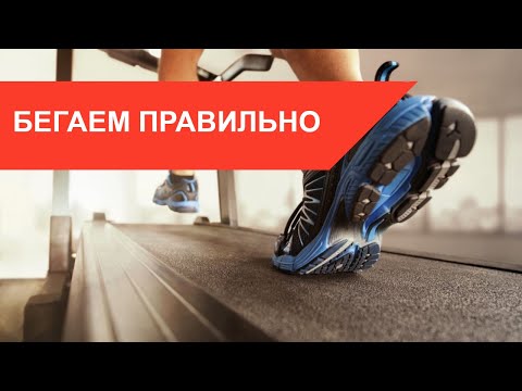 Видео: Как правильно заниматься на БЕГОВОЙ ДОРОЖКЕ - ответы тренера