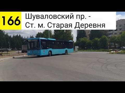 Видео: Автобус 166. Шуваловский пр. - Ст. м. Старая Деревня
