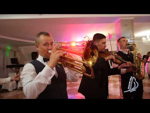 Видео: Muzicanti la nunta - 068274655. #formatiaVELE  Музыканты на свадьбу! #группаПарусник .#СпаривакИван