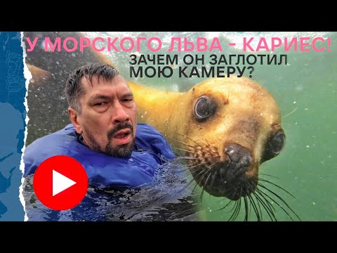 Видео: Бразилия, Перу, Боливия. Огромный тур по Южной Америке. ЧАСТЬ1.