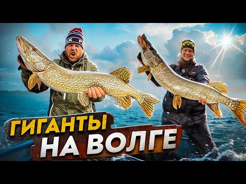 Видео: ГИГАНТЫ НА ВОЛГЕ