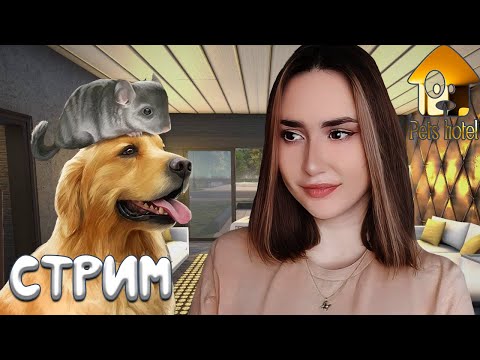Видео: Pets Hotel ► БОЛЬШОЙ СТРИМ