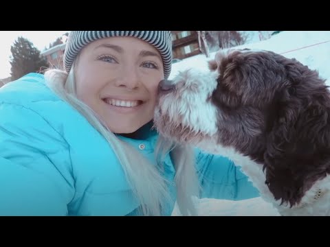 Видео: новый год, швейцария