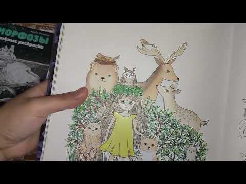 Видео: "Животные по задание"