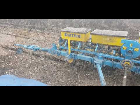 Видео: посів кукурудзи по ріпаку