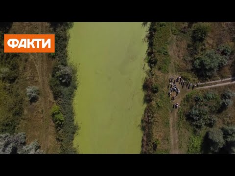 Видео: Вода уже во дворах людей. Черкассы страдают от наплыва грунтовых вод