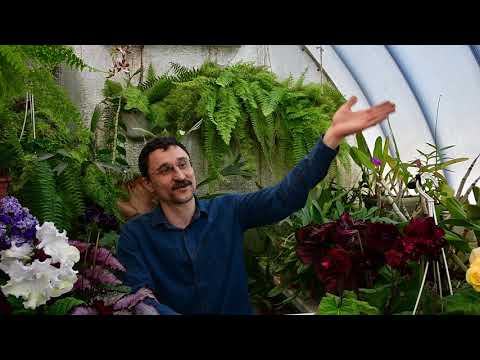 Видео: О профилактических обработках растений от вредителей