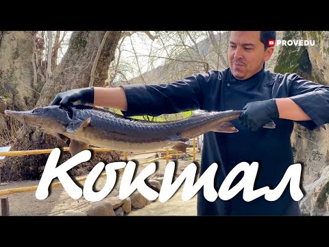 Видео: Коктал -  Рыба горячего копчения. Сазан, форель и осётр. Рецепт