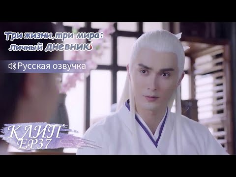 Видео: Он не может оторвать глаз от неё😍Три жизни, три мира:личный дневник 三生三世枕上书 【Дильраба, Гао Вэйгуан,】