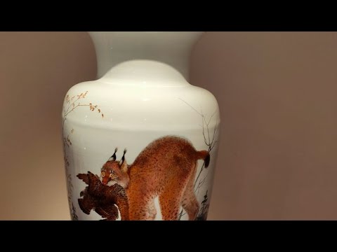 Видео: Фарфор или фаянс? Что лучше?