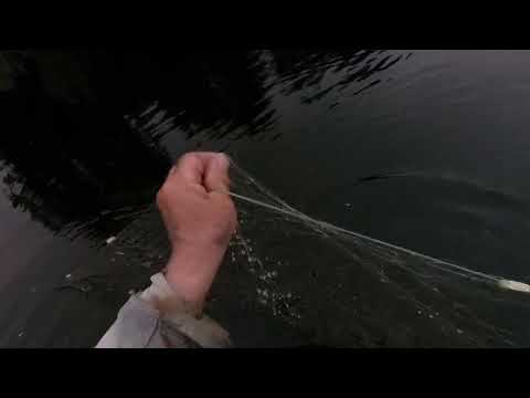 Видео: На  разливе.  Проверяем  сеть.