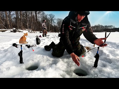 Видео: Зимняя рыбалка в тайге. Ловля ленка и хариуса на электронную удочку. Зимняя рыбалка в Сибири.