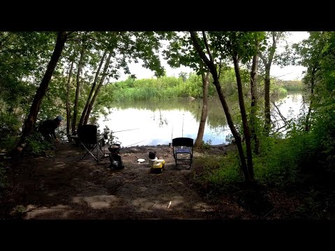 Видео: Шикарное рыбацкое местечко на реке Сок Самарская область