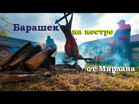 Видео: Барашек целиком на костре от Мирлана Туркменова