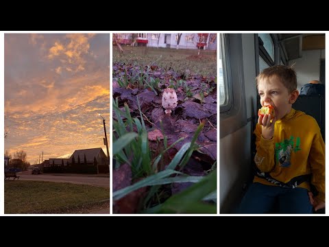 Видео: VLOG  548: ОЧЕНЬ КРУТОЕ ПРИКЛЮЧЕНИЕ!